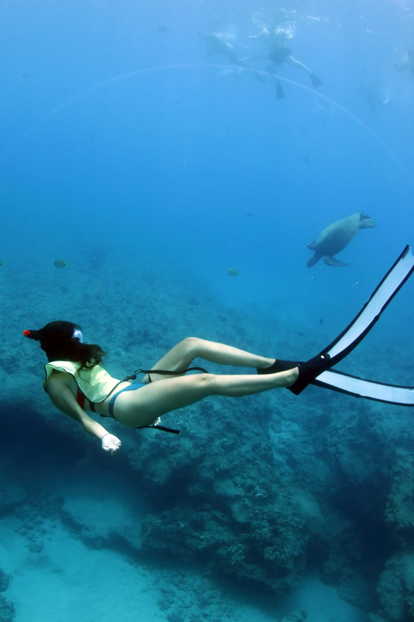 Freediving the clear water