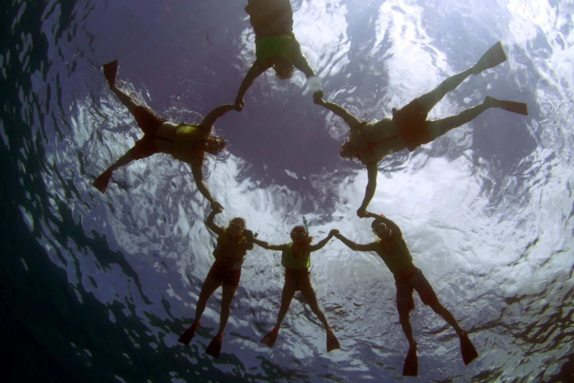 Snorkelers from below