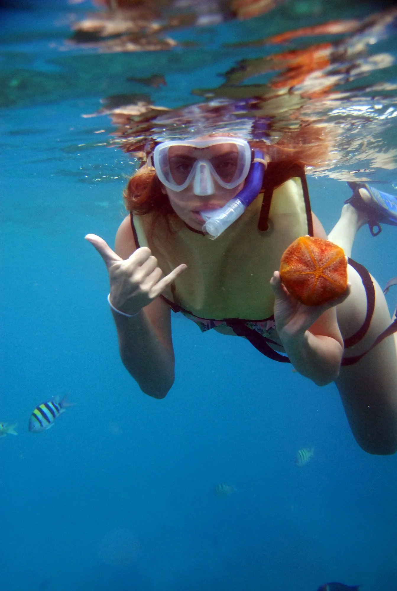 Shaka underwater