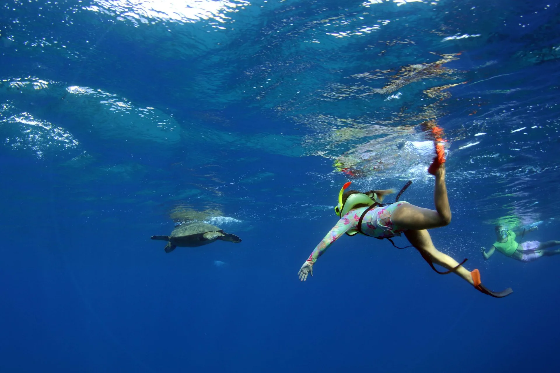 Snorkeler over the reef