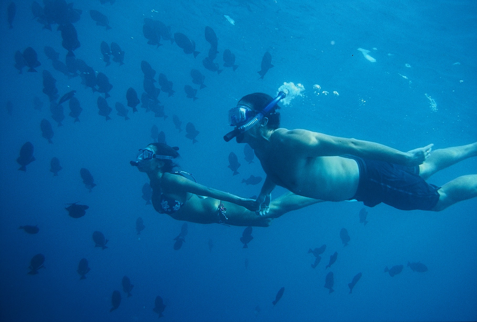 How Snorkeling Cruises Work 2-people-on-a-snorkel-cruise