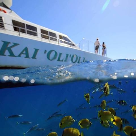 Kai 'Oli'Oli cruiseboat