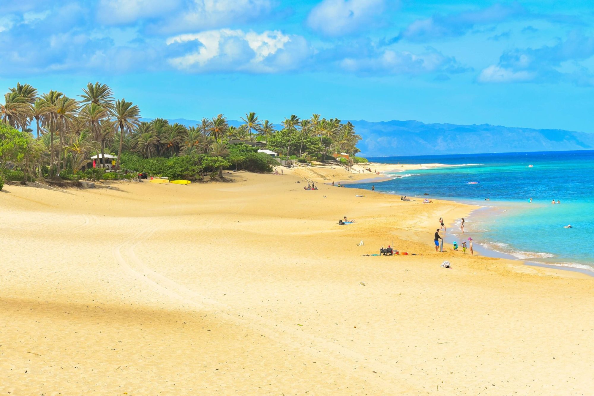 a-bunch-of-people-having-fun-on-a-beach-and-in-the-water-on-oahu